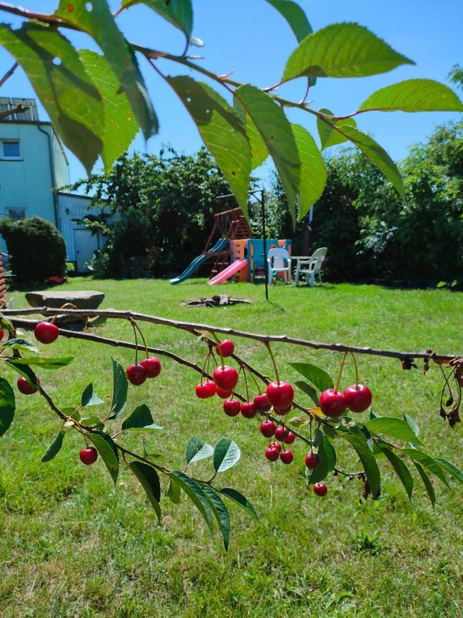 Pensjonat Agrogospodarstwo HALINA ŁUC Sasino Zewnętrze zdjęcie